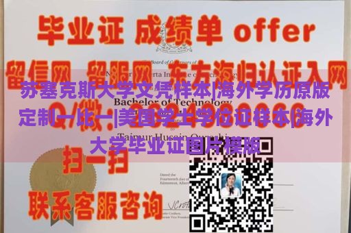 苏塞克斯大学文凭样本|海外学历原版定制一比一|美国学士学位证样本|海外大学毕业证图片模版