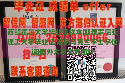 西顿霍尔大学毕业证样本|加泰罗尼亚理工大学毕业证|定制乌克兰学士学位证|国外大学文凭图片