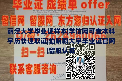 丽泽大学毕业证样本|学信网可查本科学历快速取证|伯明翰大学毕业证官网|留服认证